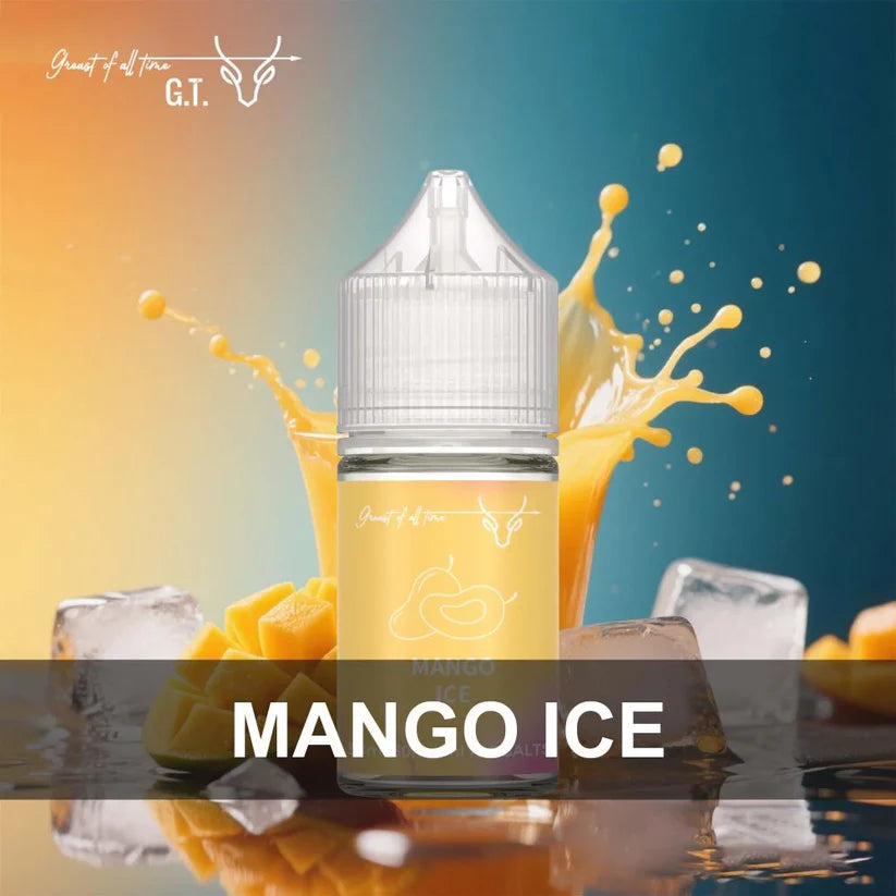 GT flavor best price at VIP vape store 