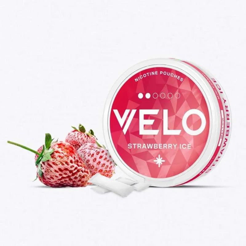 Official dealer Velo